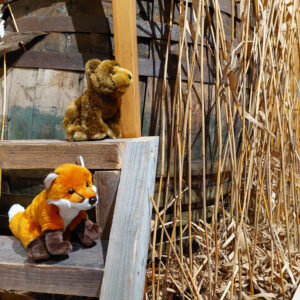 Pehmokarhu ja -kettu rappusilla museon näyttelytilassa.