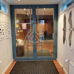 Museorakennuksen pääovet eteisestä kuvattuna.