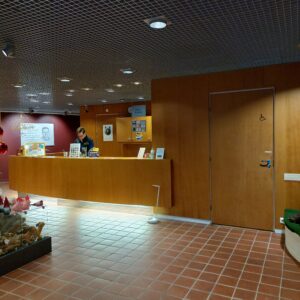 Museon aulatilat, edessä näkyy lipunmyyntitiski, jonka takana työntekijä.